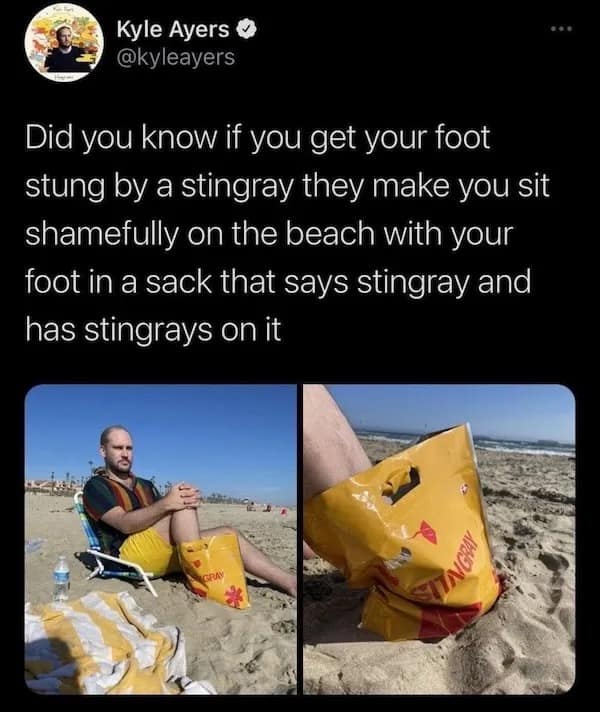 Did you know if you get your foot stung by a stingray they make you sit shamefully on the beach with your foot in a sack that says stingray and has stingrays on it