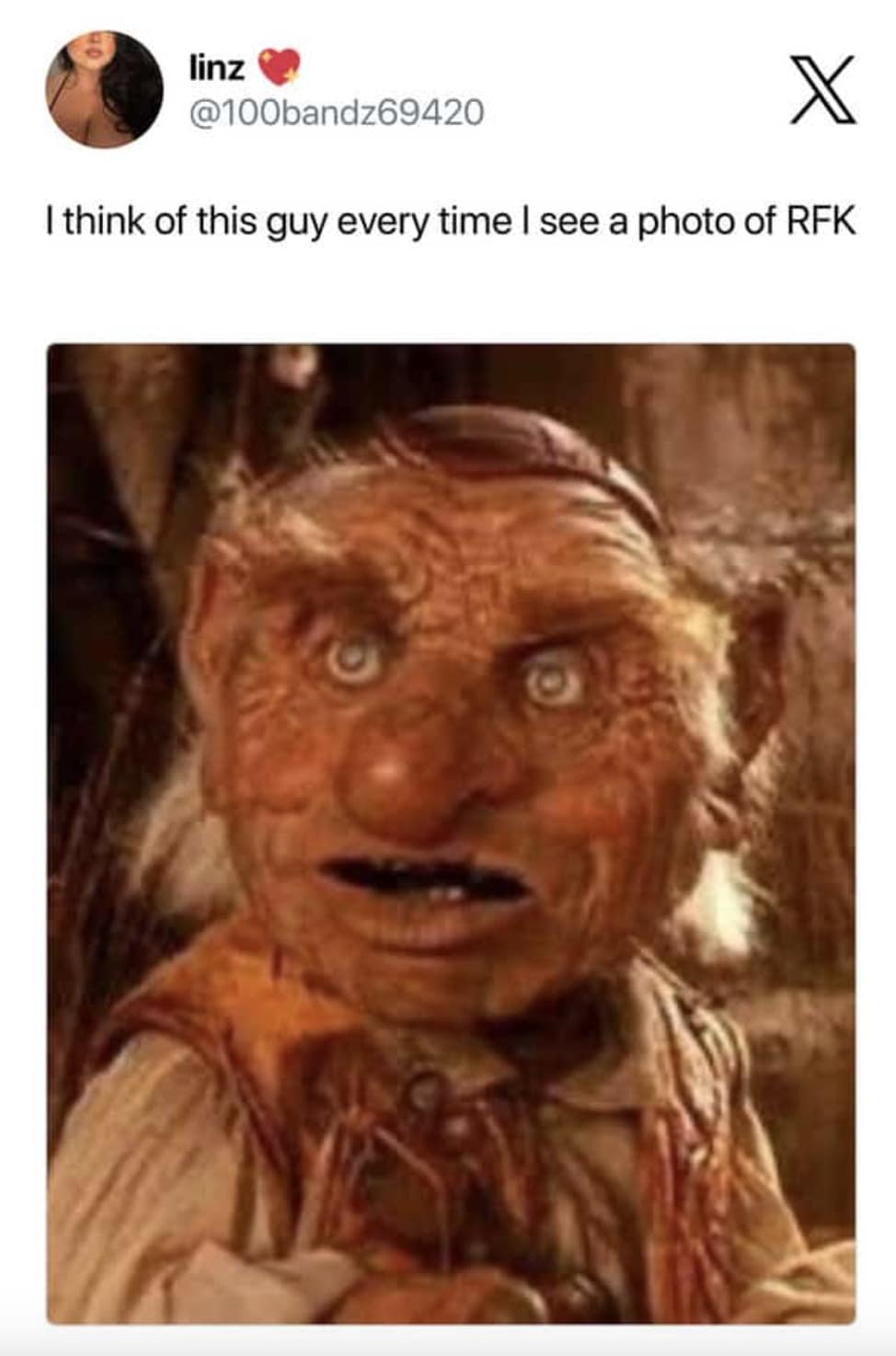 RFK jr memes, rfk memes, political memes, campaign jokes, kennedy memes, election memes, candidate humor, political satire, public health memes, vaccine jokes, brain worm memes, soda memes, diet coke jokes, robert f kennedy junior memes