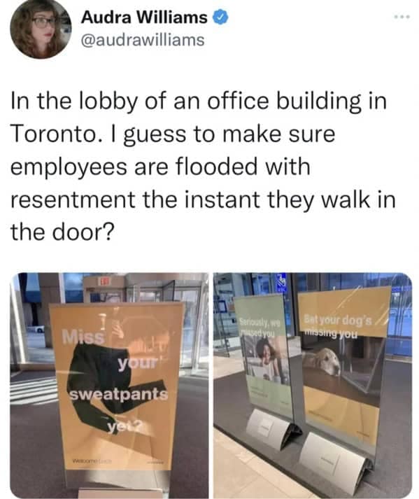 In the lobby of an office building in Toronto. I guess to make sure employees are flooded with resentment the instant they walk in the door?