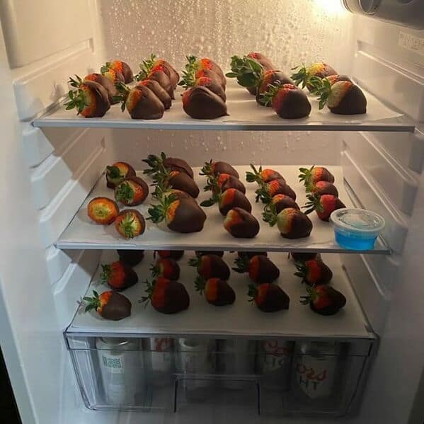 bachelor fridges, dude fridges, dude fridge pics, single guy fridges, minimal fridge setups, male fridge humor, bro kitchen fun, comedic food storage, minimalistic groceries, empty fridge habits, stark snack choices, fridge arrangement ideas, refrigerator fails, leftover mania