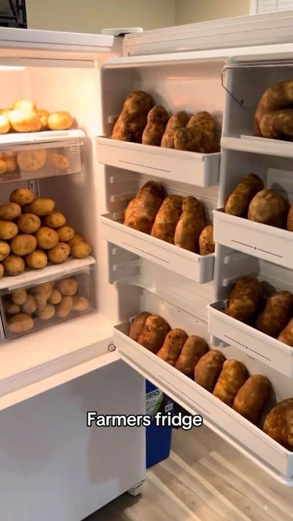 bachelor fridges, dude fridges, dude fridge pics, single guy fridges, minimal fridge setups, male fridge humor, bro kitchen fun, comedic food storage, minimalistic groceries, empty fridge habits, stark snack choices, fridge arrangement ideas, refrigerator fails, leftover mania