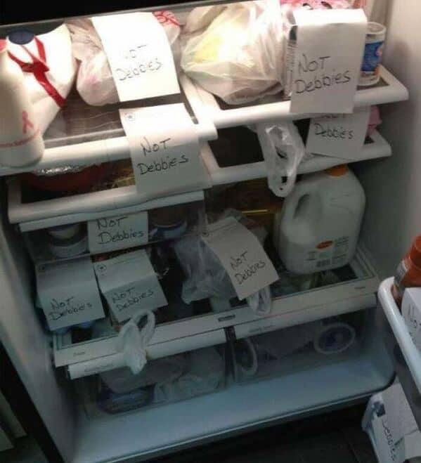 bachelor fridges, dude fridges, dude fridge pics, single guy fridges, minimal fridge setups, male fridge humor, bro kitchen fun, comedic food storage, minimalistic groceries, empty fridge habits, stark snack choices, fridge arrangement ideas, refrigerator fails, leftover mania