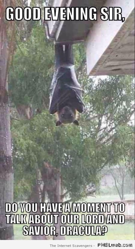 GOOD EVENING SIR, DO YOU HAVE A MOMENT TO TALK ABOUT OUR LORD AND SAVIOR, DRACULA? The Internet Scavengers