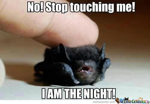 Nol Stop touching me! I AM THE NIGHT!