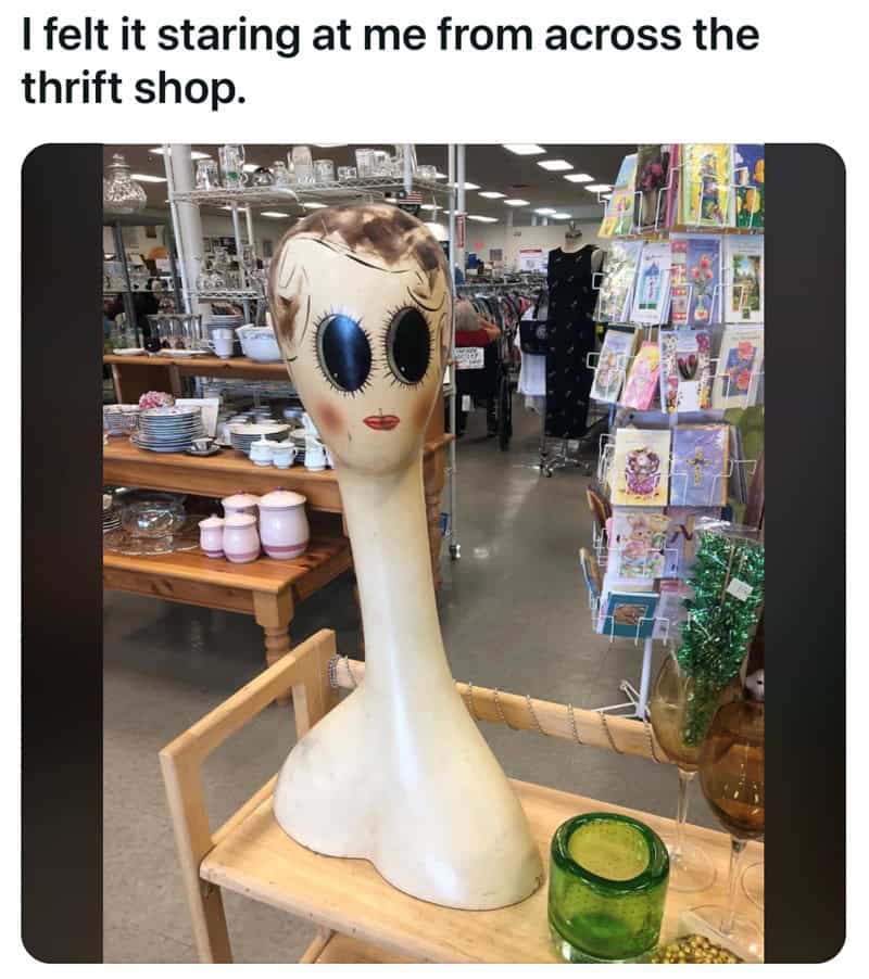 best thrift shop finds, thrift store finds, thrift haul, thrift treasures, thrift memes, thrift shopping memes, vintage finds, secondhand gems, garage sale finds, flea market finds, bargain finds, retro treasures, antique finds, thrifting humor, charity shop finds, resale treasures