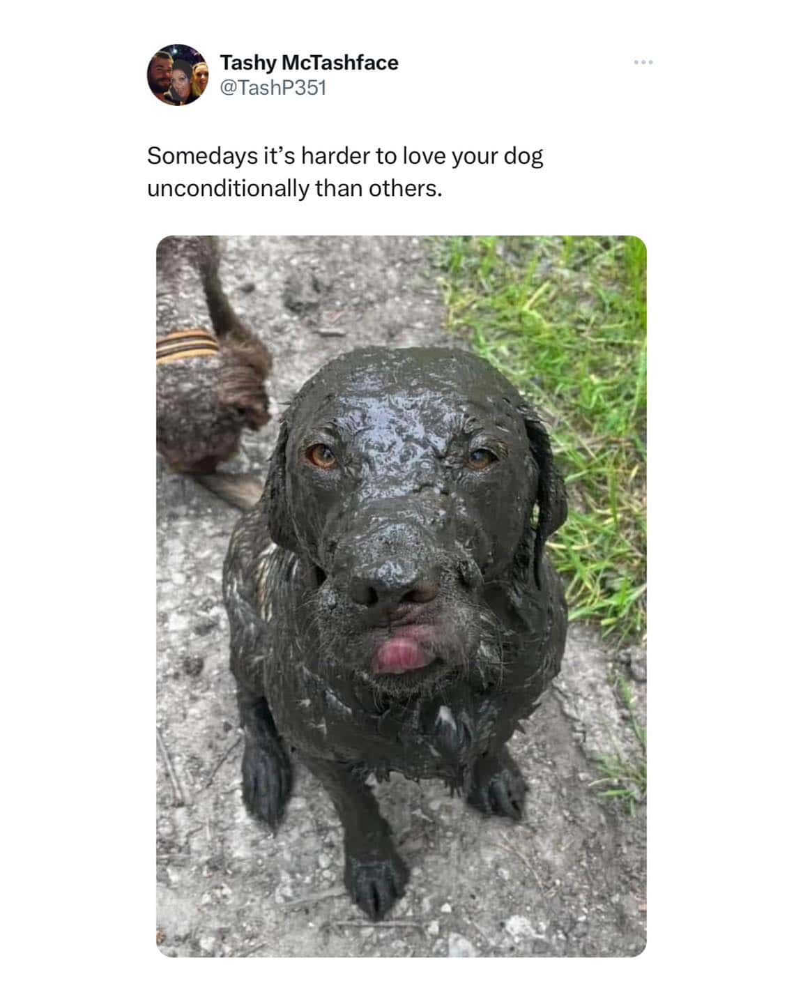 british meme, british memes, uk memes, british humour, english jokes, london memes, british culture memes, dry humour, sarcastic memes, british jokes, tea memes