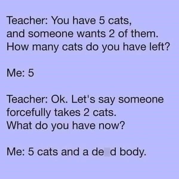 cat memes, funny cat memes, kitty memes, feline memes, kitty jokes, funny cat, silly cat, cat humor, kitten memes, baby cat jokes, tiny feline laughs, cat jokes, feline jokes, whisker humor