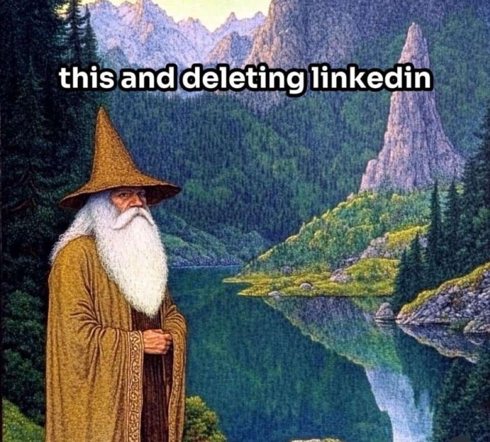this and deleting linkedin wizard meme