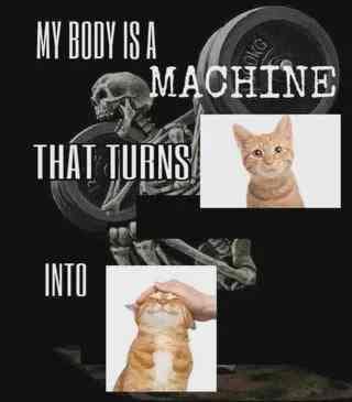 MY BODY IS A MACHINE THAT TUANS INTO