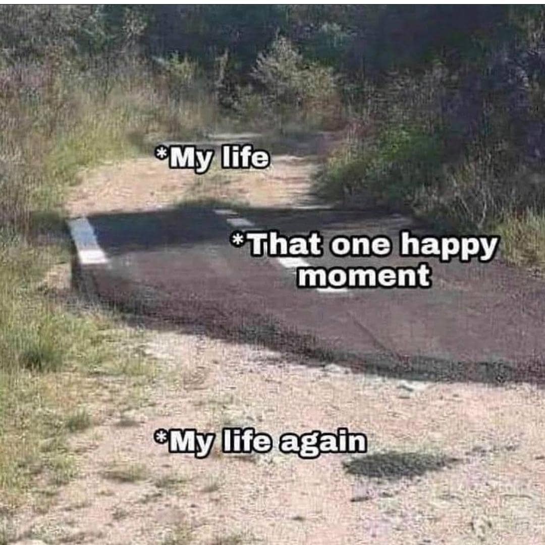 classic memes, viral tweets, vintage memes, best memes, old memes, old but gold memes, timeless memes, evergreen memes, viral memes, trending memes, internet jokes, retro memes, old school memes, internet memes, web memes, online humor