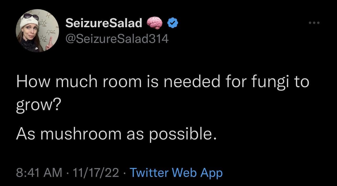 classic memes, vintage memes, viral tweets, timeless memes, legendary memes, iconic memes, vintage meme humor, old-school internet jokes, retro meme style, evergreen memes, perennial memes, never-dying jokes, legendary viral formats, internet classics, original meme style, best memes, old memes