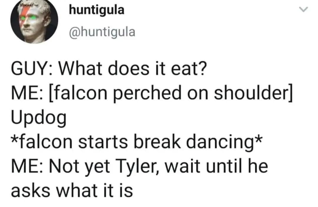 classic memes, viral tweets, vintage memes, best memes, old memes, old but gold memes, timeless memes, evergreen memes, viral memes, trending memes, internet jokes, retro memes, old school memes, internet memes, web memes, online humor