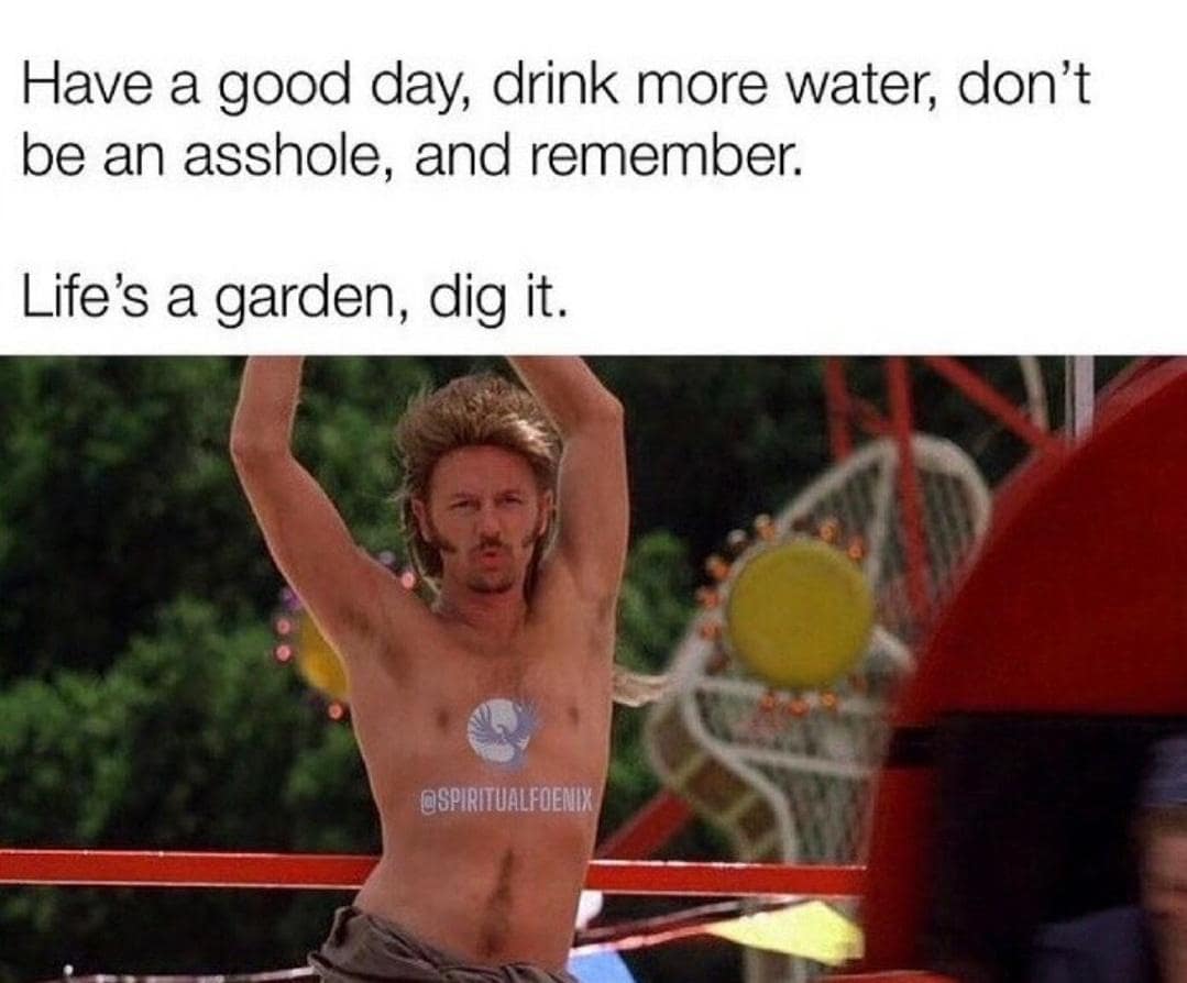 Have a good day, drink more water, don't be an asshole, and remember. Life's a garden, dig it. @SPIRITUALFOENIX