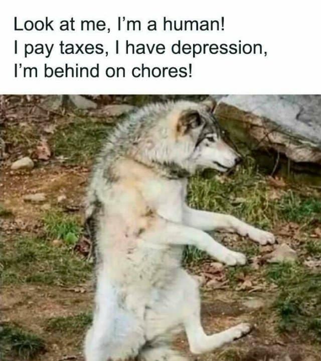 Look at me, I'm a human! I pay taxes, I have depression, I'm behind on chores!