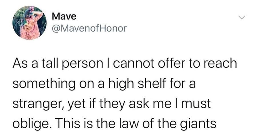 Mave @MavenofHonor As a tall person I cannot offer to reach something on a high shelf for a stranger, yet if they ask me I must oblige. This is the law of the giants