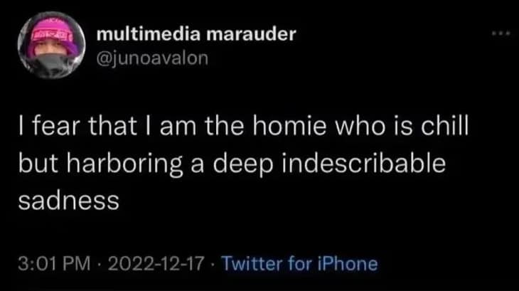 multimedia marauder @junoavalon I fear that I am the homie who is chill but harboring a deep indescribable sadness 3:01 PM • 2022-12-17 • Twitter for iPhone