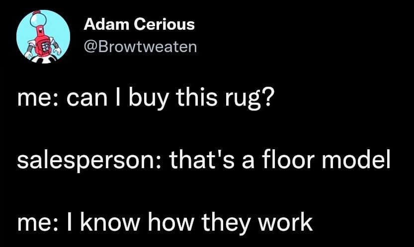 Adam Cerious @Browtweaten me: can I buy this rug? salesperson: that's a floor model me: I know how they work