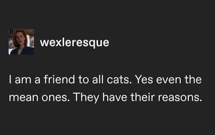 retro memes, enduring memes, viral memes, trending internet jokes, unstoppable online humor, legendary meme references, internet relics, iconic meme material, evergreen memes, unkillable jokes, timeless internet giggles