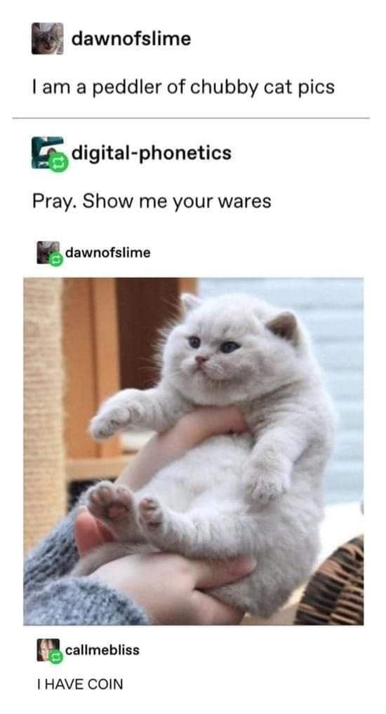 classic memes, vintage memes, viral tweets, timeless memes, evergreen memes, viral memes, iconic posts, legendary jokes, internet memes, web classics, digital relics, meme nostalgia, retro humor, old‑school laughs, best memes, old memes