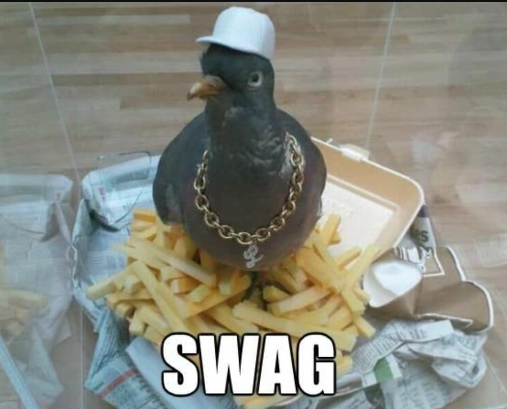 retro memes, enduring memes, viral memes, trending internet jokes, unstoppable online humor, legendary meme references, internet relics, iconic meme material, evergreen memes, unkillable jokes, timeless internet giggles