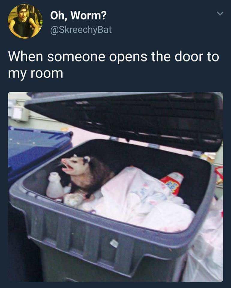 classic memes, vintage memes, viral tweets, timeless memes, evergreen memes, viral memes, iconic posts, legendary jokes, internet memes, web classics, digital relics, meme nostalgia, retro humor, old‑school laughs, best memes, old memes