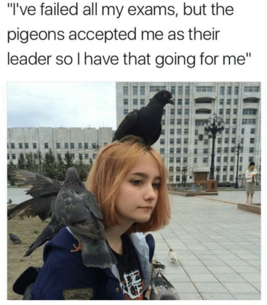 retro memes, enduring memes, viral memes, trending internet jokes, unstoppable online humor, legendary meme references, internet relics, iconic meme material, evergreen memes, unkillable jokes, timeless internet giggles