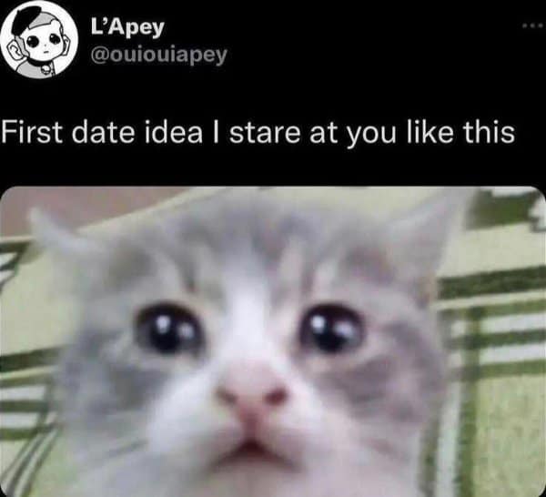 L'Apey @ouiouiapey First date idea I stare at you like this •••