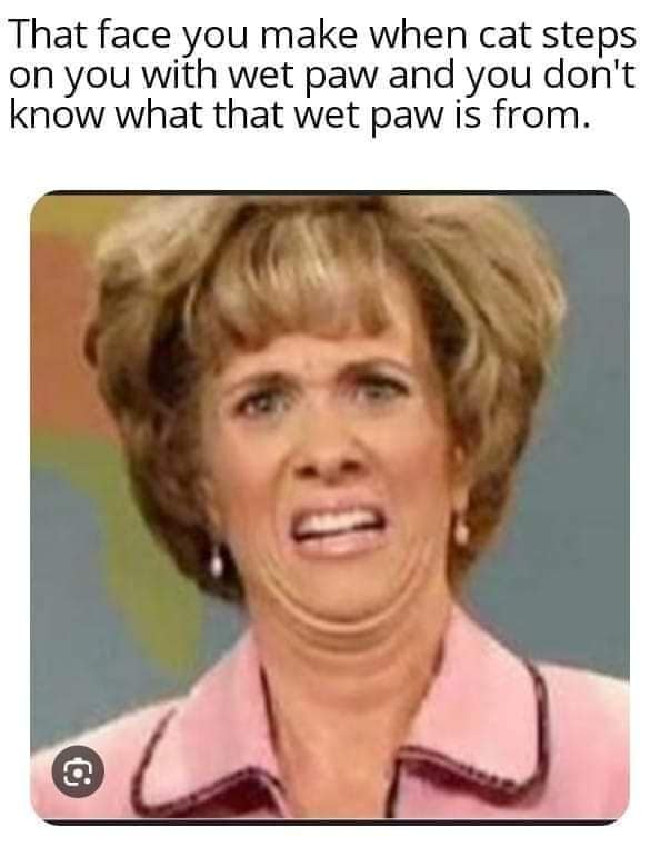 classic memes, vintage memes, viral tweets, evergreen memes, timeless memes, viral memes, iconic memes, popular memes, legendary memes, old school memes, retro memes, meme classics, OG memes, internet culture, meme history, digital nostalgia, web humor, old memes, best memes