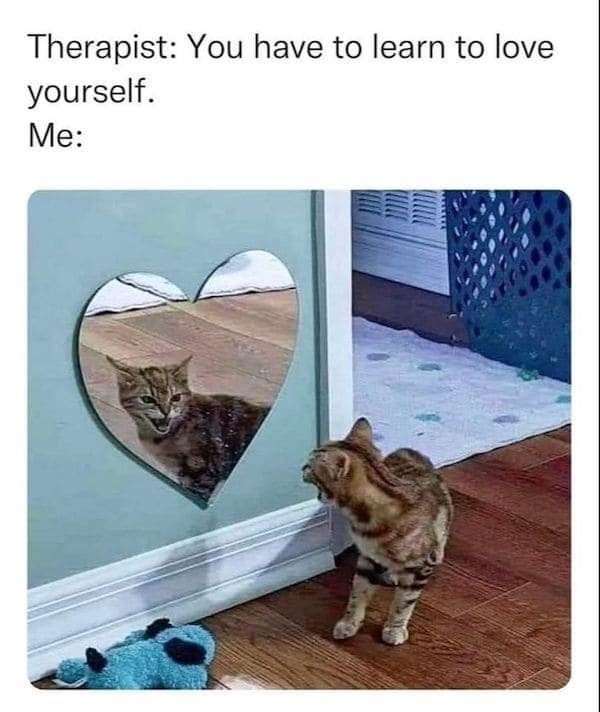 classic memes, vintage memes, viral tweets, evergreen memes, timeless memes, viral memes, iconic memes, popular memes, legendary memes, old school memes, retro memes, meme classics, OG memes, internet culture, meme history, digital nostalgia, web humor, old memes, best memes