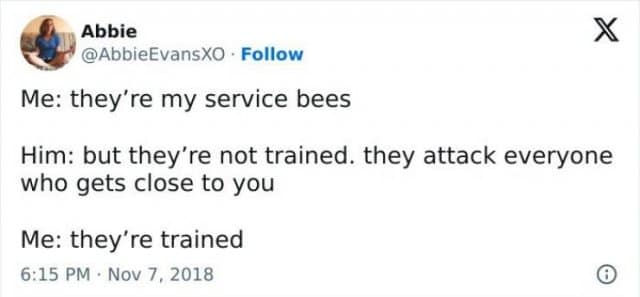X Abbie @AbbieEvansXO • Follow Me: they're my service bees Him: but they're not trained. they attack everyone who gets close to you Me: they're trained 6:15 PM • Nov 7, 2018