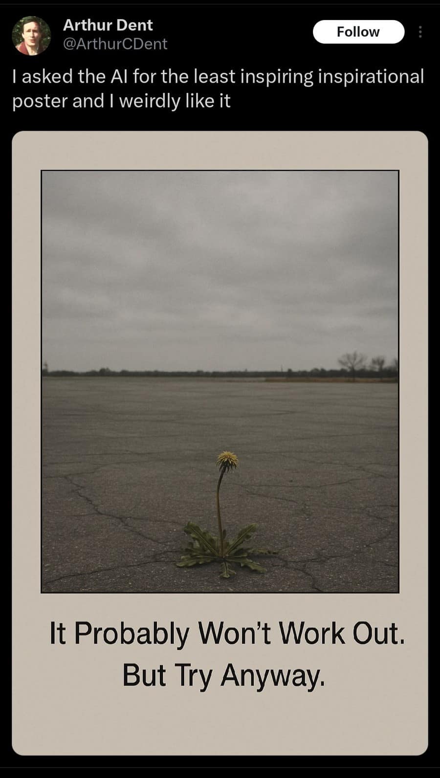 Arthur Dent @ArthurCDent Follow I asked the Al for the least inspiring inspirational poster and I weirdly like it It Probably Won't Work Out. But Try Anyway.