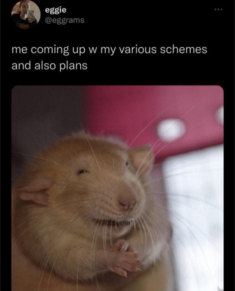 eggie @eggrams me coming up w my various schemes and also plans