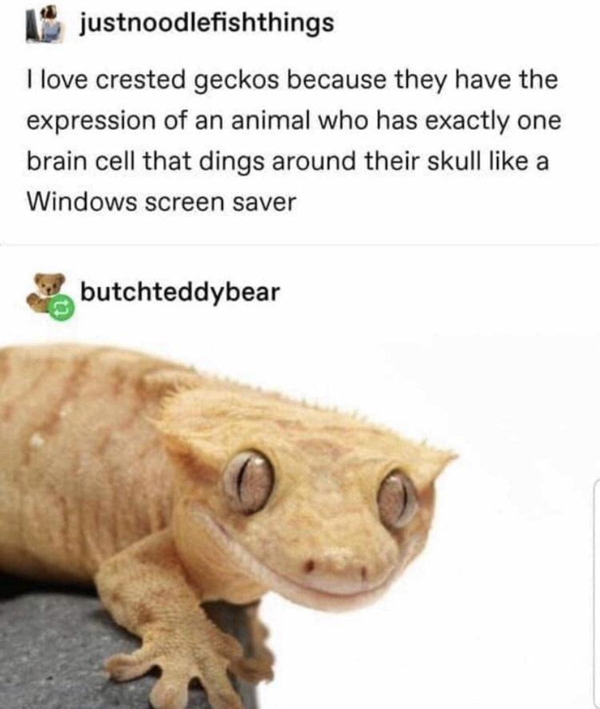 classic memes, vintage memes, viral tweets, timeless memes, internet classics, meme throwbacks, retro memes, viral memes, funny internet memes, meme nostalgia, relatable memes, humorous memes, internet humor, old memes, best memes, retro memes