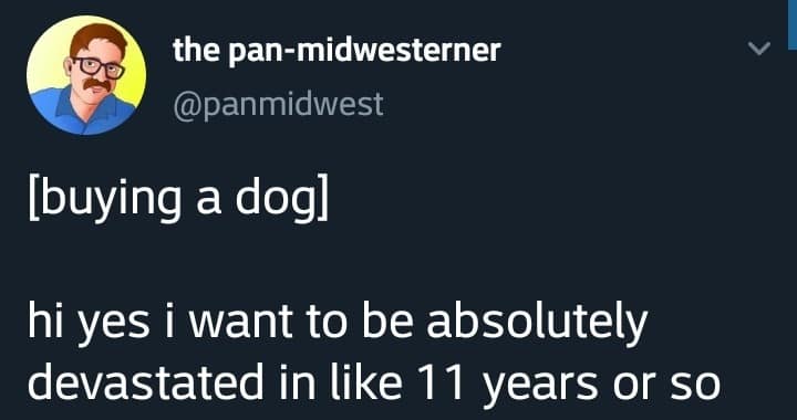 classic memes, vintage memes, viral tweets, old memes, best memes, old but gold, timeless memes, evergreen jokes, legendary memes