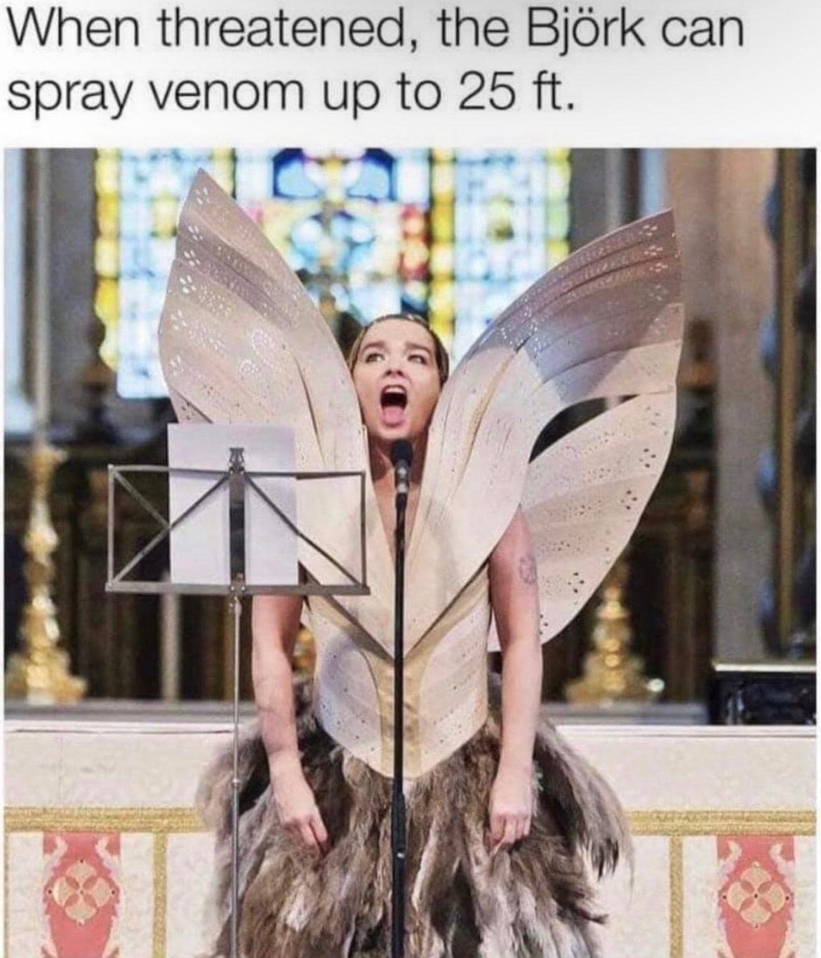 classic memes, vintage memes, viral tweets, iconic memes, enduring memes, timeless memes, everlasting memes, old-school memes, evergreen memes, lasting memes, consistently popular memes, legendary memes, famed memes, beloved memes, old memes, best memes