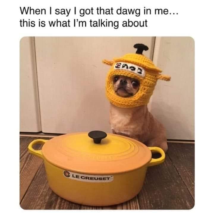classic memes, vintage memes, viral tweets, timeless memes, evergreen humor, viral memes, iconic jokes, legendary templates, internet memes, web classics, digital relics, retro memes, old school memes, meme nostalgia, old memes, best memes