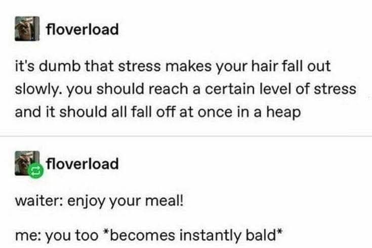 timeless memes, evergreen memes, viral memes, iconic memes, legendary templates, internet memes, web humor, digital classics, meme history, meme culture, meme evolution, old memes, best memes