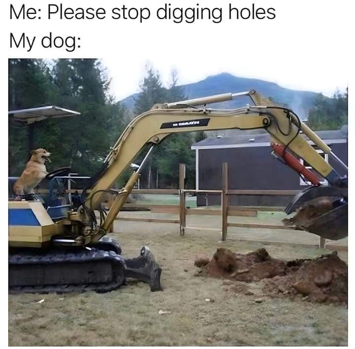 classic memes, vintage memes, viral tweets, old memes, best memes, old but gold, timeless memes, evergreen jokes, legendary memes