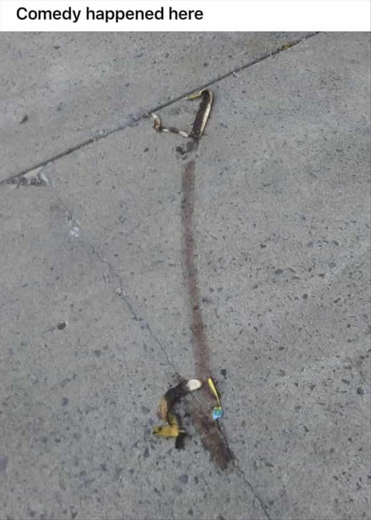 classic memes, vintage memes, viral tweets, old memes, best memes, old but gold, timeless memes, evergreen jokes, legendary memes