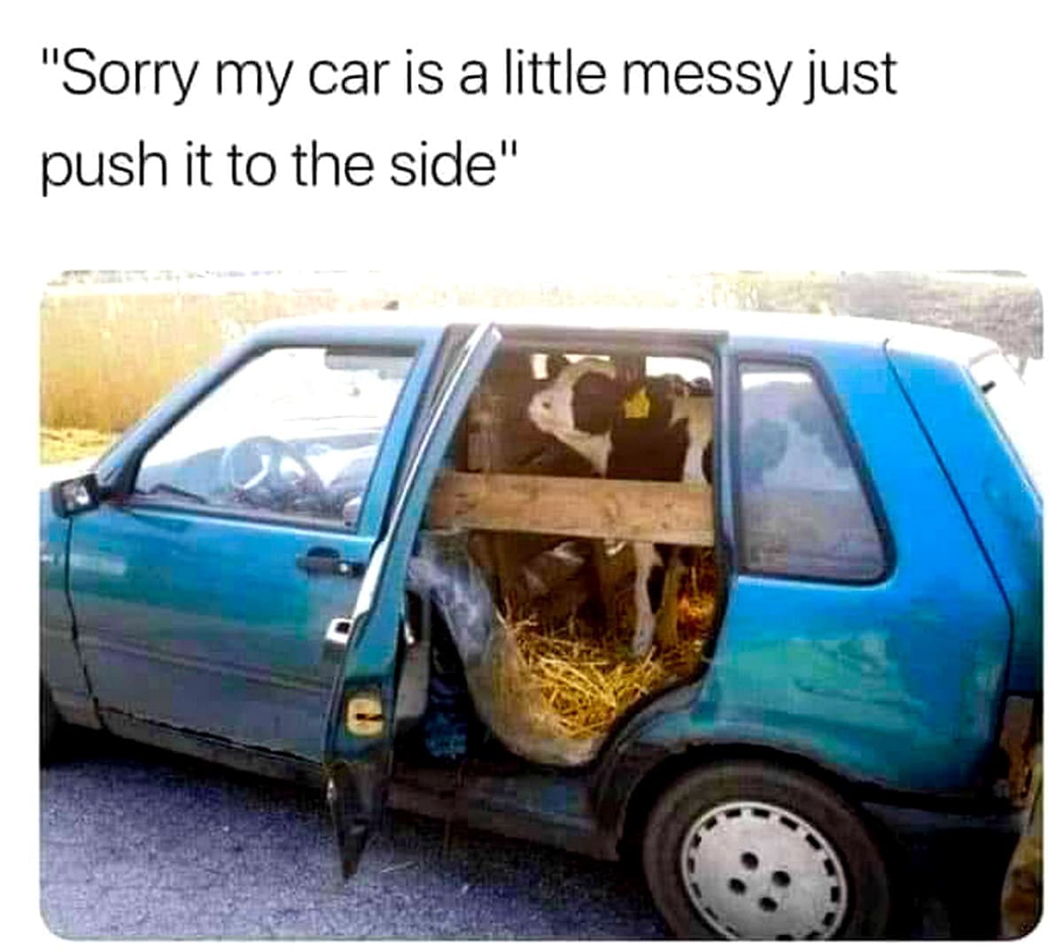 classic memes, vintage memes, viral tweets, timeless memes, evergreen humor, viral memes, iconic jokes, legendary templates, internet memes, web classics, digital relics, retro memes, old school memes, meme nostalgia, old memes, best memes