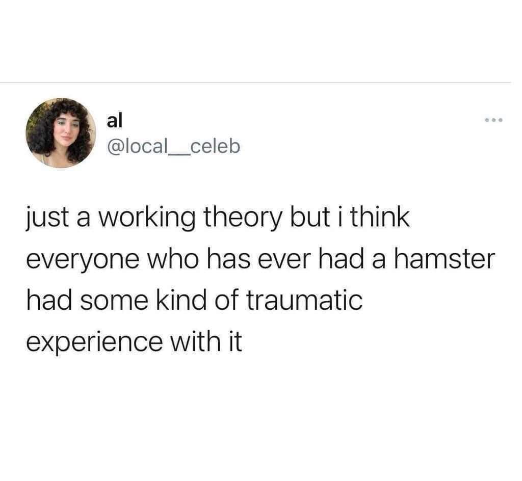 timeless memes, evergreen memes, viral memes, iconic memes, legendary templates, internet memes, web humor, digital classics, meme history, meme culture, meme evolution, old memes, best memes