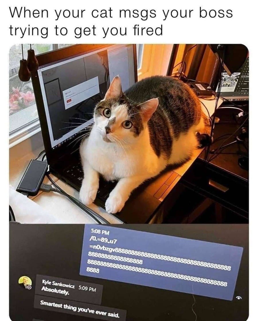 When your cat msgs your boss trying to get you fired 5.08 PM /0.=89.u7 -nOvbzgv8888884 888888 8888888888888881 8888888888888888888888888 8888 Kyle Sankowicz 5:09 PM Absolutely. Smartest thing you've ever said. 8888888 888888888