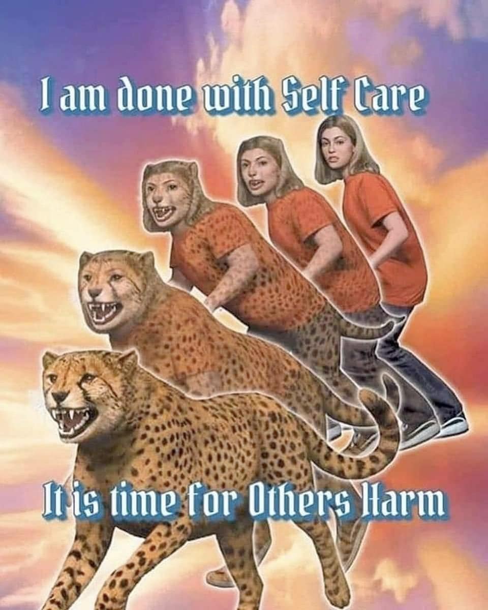 I am done with Self Care Ins time for Others Harm