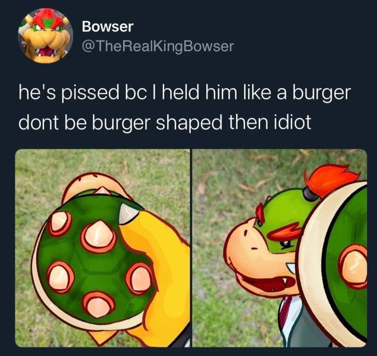 Bowser @TheRealKingBowser he's pissed be I held him like a burger dont be burger shaped then idiot