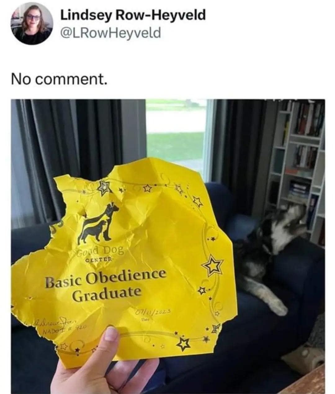 Lindsey Row-Heyveld @LRowHeyveld No comment. GoAd DOg CENTER Basic Obedience Graduate 07/1/2023