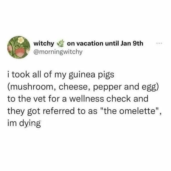 witchy @morningwitchy on vacation until Jan 9th i took all of my guinea pigs (mushroom, cheese, pepper and egg) to the vet for a wellness check and they got referred to as "the omelette" im dying