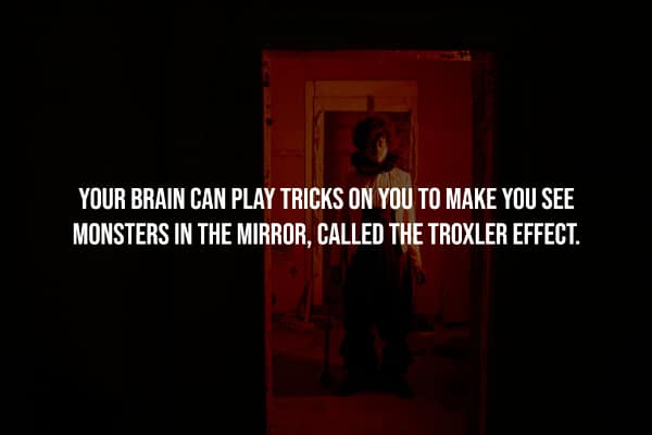 BRAIN CAN PLAY TRICKS ON YOU TO MAKE YOU SEE MONSTERS IN THE MIRROR, CALLED THE TROXLER EFFECT.