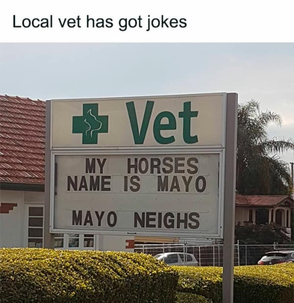 MY HORSES NAME IS MAYO MAYO NEIGHS