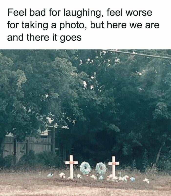 Feel bad for laughing, feel worse for taking a photo, but here we are and there it goes