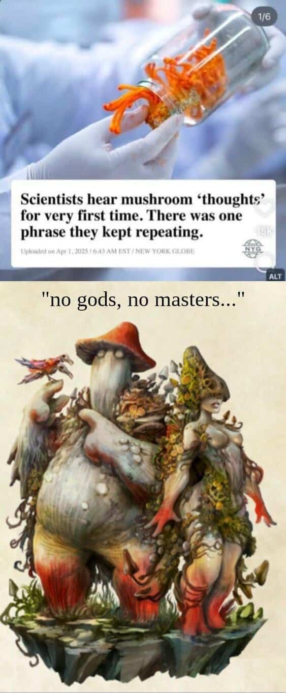 d&d memes, dnd memes, Dungeons & dragons, dungeons and dragons memes, tabletop memes, rpg memes, dungeons and dragons jokes, dnd jokes, tabletop humor, dice memes, roleplaying memes, campaign jokes, dungeon master memes, fantasy memes, adventure jokes, dunny dnd memes, funny d&d memes